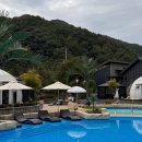 담터펜션 | 철원 글램핑 담터오지글램핑 솔직후기