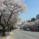 남산 산책로 이미지