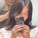 엘마르헤어