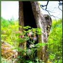 습관도 습관이다 이미지