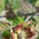 화포농장 이미지