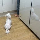 [블챌2/주간일기챌린지] 9월 3주차 일기