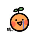크라운호프 세종고운점