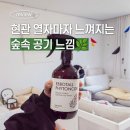 센스있는집들이선물 추천! 집안 냄새 고민 끝, 편백나무피톤치드