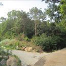 초부3리 이미지