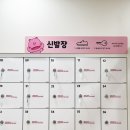 라라키즈어드벤처부산진 이미지