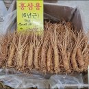 금산수삼센타7호