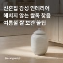 디자인이야기 | 신혼집 꿀템 | 심플한 디자인이 돋보이는 손이야기 분청 무지 쌀독 10kg 실사용 후기 | 여름 쌀 보관법