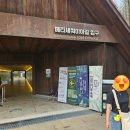 프로방스 | 담양여행 메타세쿼이아랜드 어린이 프로방스 아이랑 같이 방문 후기(공룡, 놀이터)