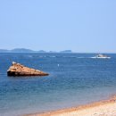 상근 태양광발전소 이미지