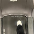 일상 2.. 습관적 끼니 수집?🙄