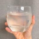 무설초발효원