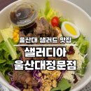 샐러디아 울산대 정문점 다이어트 중에 방문한 샐러드 맛집