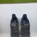 슈올즈 괴정점 이미지