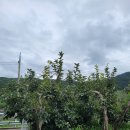 지리산에덴하우스
