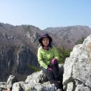 천성탕 이미지