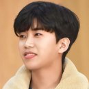 댕댕학당 이미지