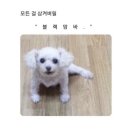 육공판 - 남양주시 내각1로 67 | 육공판