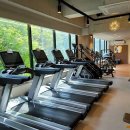 브라운 짐 이미지