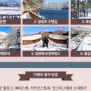 장성이벤트 이미지