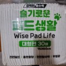 폴리파크 칠곡점 네이버블로그