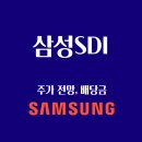 삼성에스디아이(주) 이미지