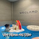 경주:) 위클라드 애견 풀빌라 마운틴 뷰. 독채 펜션 온수 무료 내돈내산 솔직후기