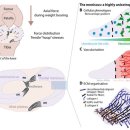 동기한의원 이미지
