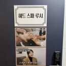 헤드스파루시 이미지