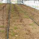 흥부축사 이미지