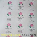 코코호도목동점 이미지