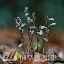 한라전설(주) 이미지