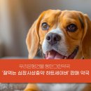 동탄우리약국 이미지