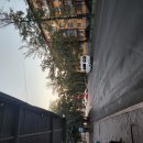 럭키산업발전소 | [중앙아시아 기행] 9. 비슈케크에서 잘랄아바드·오쉬로 마슈르트카 타고 가기 / 잘랄아바그 근교...