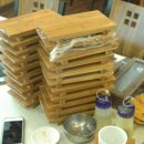 라오니아 이미지