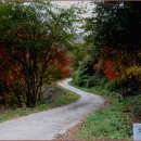 수산리-3 이미지