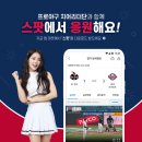 엘씨씨 이미지
