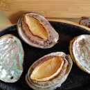 종달로가 이미지