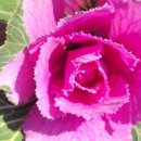 명성 행정사사무소 이미지