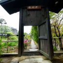 천상의노을 | 유럽 호수정원 분위기가 한국에 있었다”… 옥천 천상의정원 수생식물학습원, 대청호 산책길·포토존...