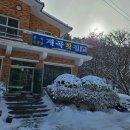 계곡횟집 | 내돈내산 리뷰_ 홍천 송어회 맛집 계곡 횟집 방문 후기