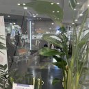 메가마취통증의학과의원 이미지