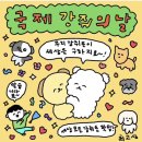 원더플 이미지