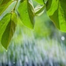 파주 함소아 한의원 이미지