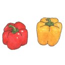 해남읍5일시장 이미지