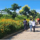 단성면 복지회관 이미지