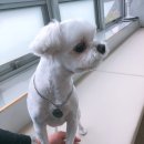 고덕유치원 이미지