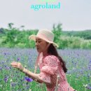 상몽농장 이미지