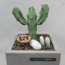 용신목장 이미지