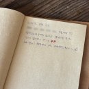 스테이오별 이미지